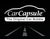CarCapsule Vehicle Protection