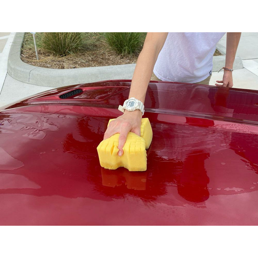 Car Wash Water Filter Dirt Trap Grit Guard Insert Car Wash Bucket Grit  Guard - China Car Wash Water Filter, Car Wash Bucket