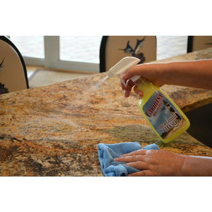 Carolina Home & Patio Tile & Granite Cleaner & Sealer Kit